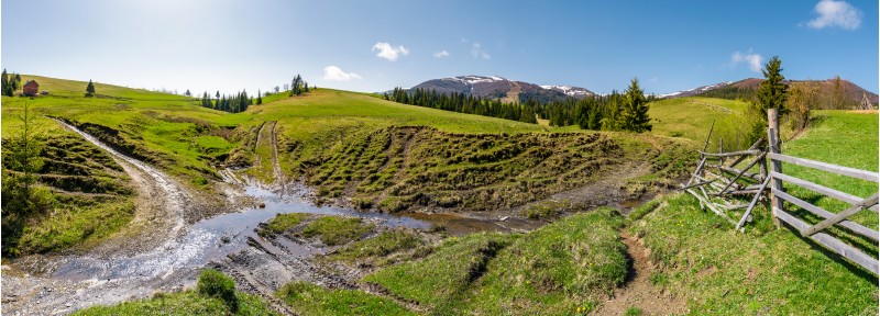panorama of mountainous rural countryside. spruce forest on grassy slopes. wooden fence near the brook. mountain ridge with snowy tops in the distance