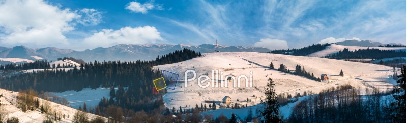 panorama of rural area in winter Carpathians. agricultural fields and spruce forests on snowy hillsides. huge mountain ridge in the distance