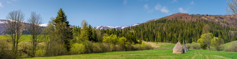 panorama of rural field in mountains. haystack on grassy field among the forest