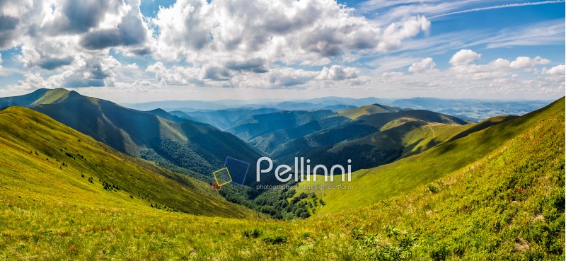 panoramic view of alpine mountain ridges. gorgeous landscape in summer on a cloudy day