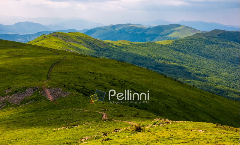 footpath along the Carpathian Dividing Ridge. gorgeous summer landscape with grassy slopes