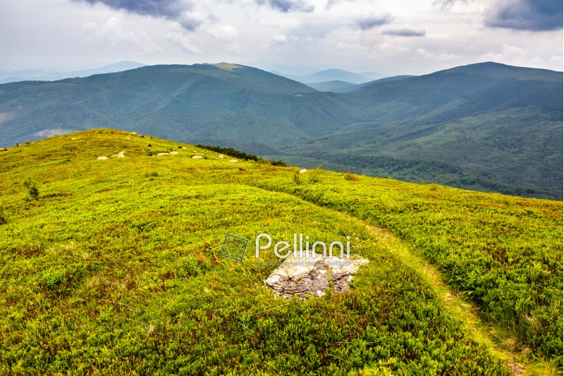 narrow meadow path in grass among white stones on top of the hill in high mountain