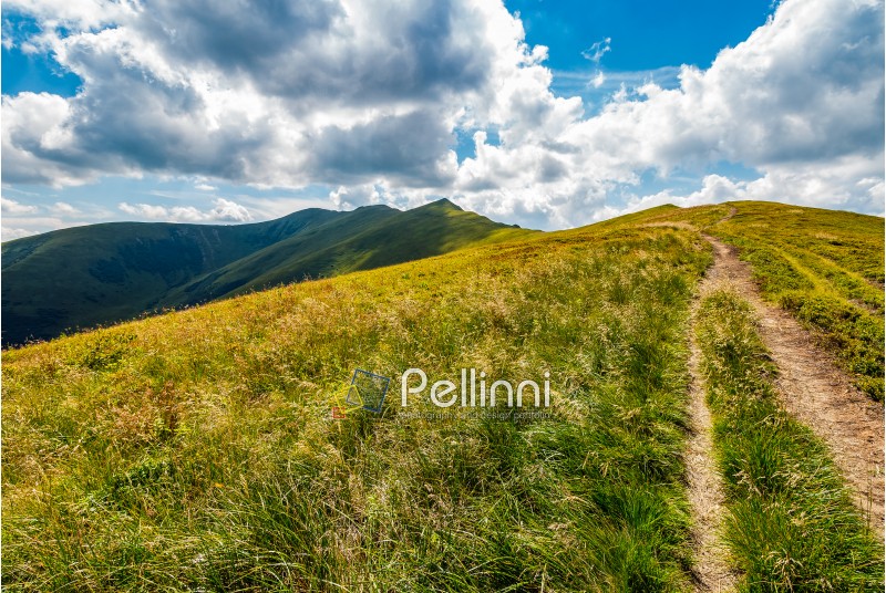 path through a grassy meadow on a hillside. destination - mountain peak. beautiful summer landscape in good weather with few clouds on a blue sky.