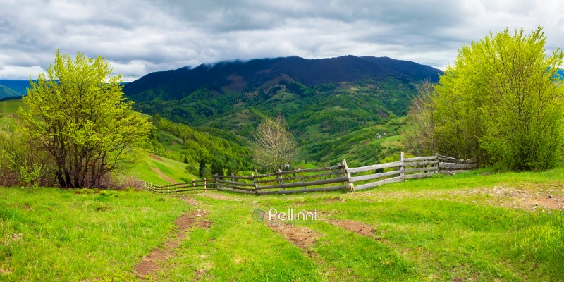 path through agricultural area in mountains. wooden fence along the road down the hill. trees on hills in fresh green foliage. beautiful panoramic landscape in spring
