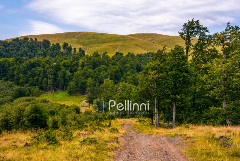 path through birch forest to the mountains. beautiful late summer scenery in Carpathian alps