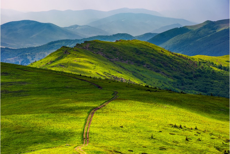 path through grassy meadow on hillside. beautiful summer landscape of great Carpathian water dividing ridge. Location TransCarpathia, Ukraine