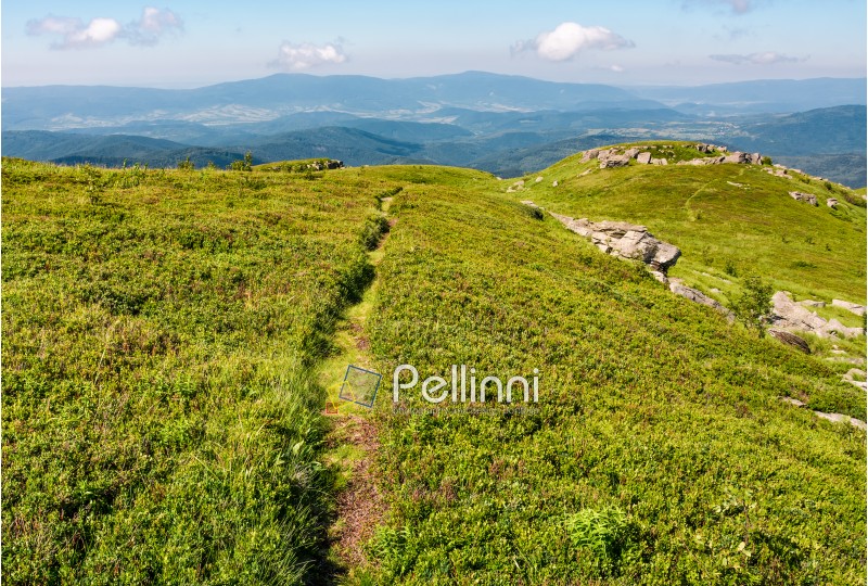 path through grassy meadow to huge boulders. beautiful mountainous landscape on summer morning