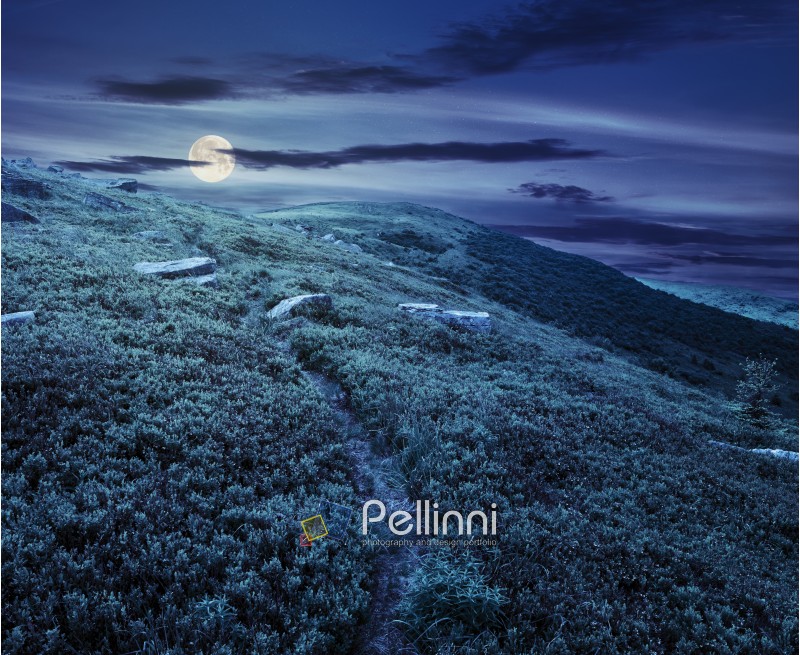 path through hillside with huge white sharp boulders near mountain peak at night in full moon light