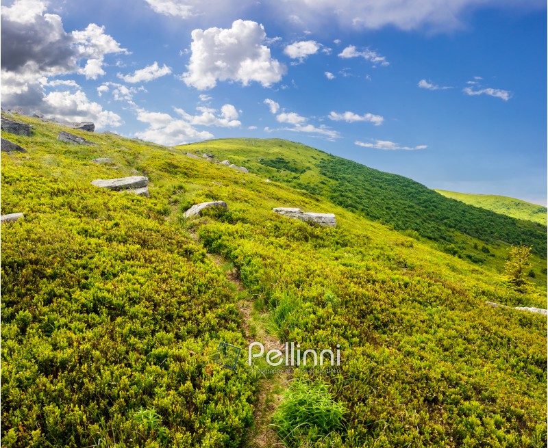 path through hillside with huge white sharp boulders near mountain peak