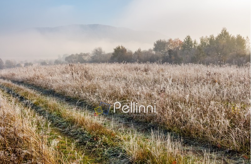 path through meadow in hoarfrost at sunrise. frosted grass and trees with slightly visible mountain in a distance. beautiful nature scenery in november