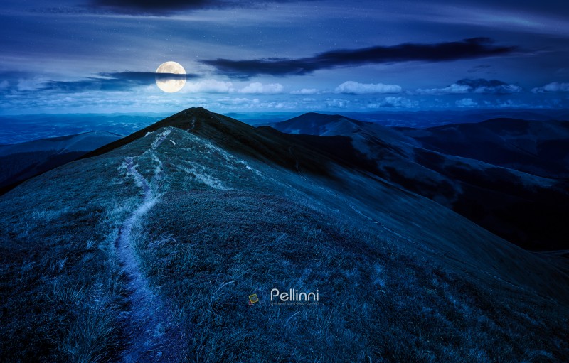 path through the grassy mountain ridge at night. beautiful summer landscape in fine weather with cloudy sky over green alpine meadow in full moon light. finance investment or abstract concepts