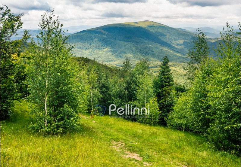 composite mountain landscape. path through the meadow in forest on a hillside. beautiful summer scenery