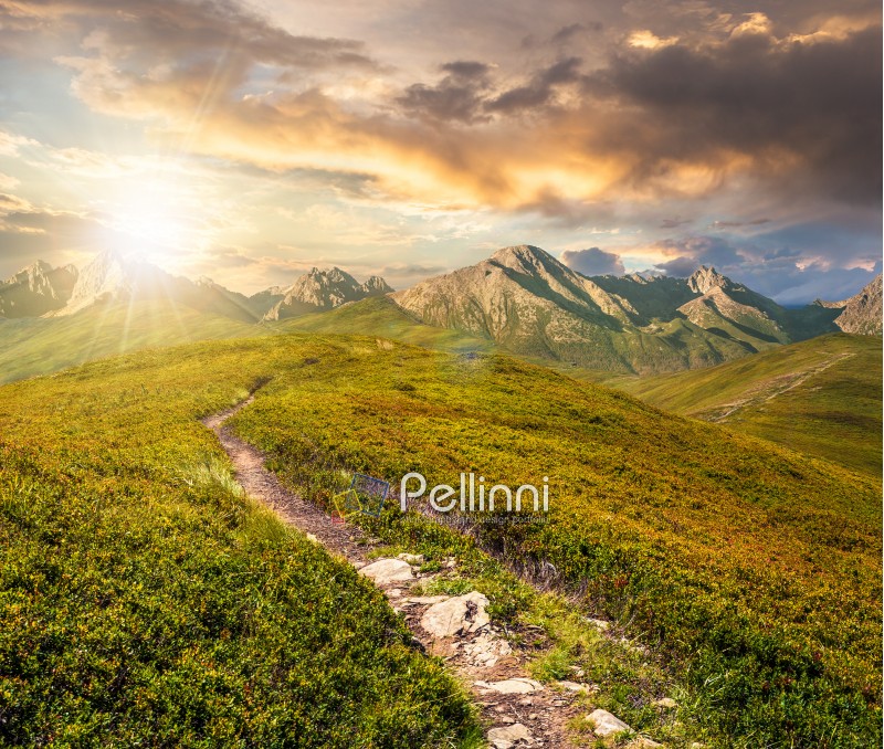 composite summer landscape in High Tatra Mountains at sunset. path through the ridge to the top peak