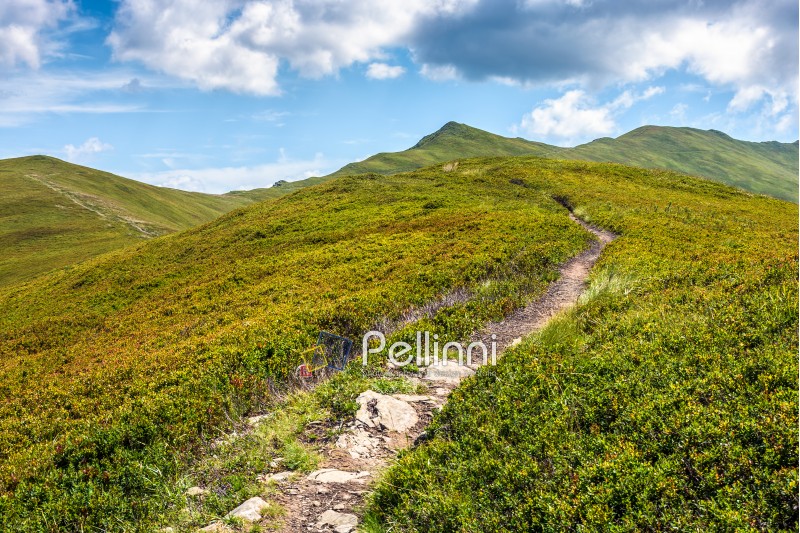 summer mountain landscape. path through the ridge to the top peak