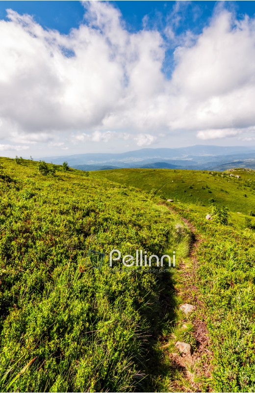 summer mountain landscape. footpath down the hill through mountain ridge to valley. huge boulders on grassy slope. beautiful Carpathian nature scene