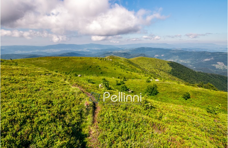 beautiful summer landscape in mountains. fine weather with blue sky and some clouds. gorgeous travel background with footpath through the mountain ridge