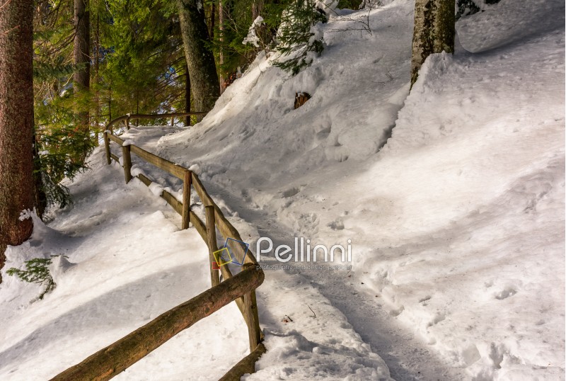 path with wooden fence in winter forest. lovely nature scenery