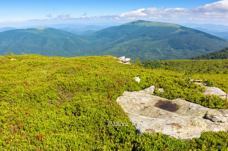picturesque mountain landscape with rocks and grass. alpine scenery with wonderful view in to the valley. highland of ukraine in morning light