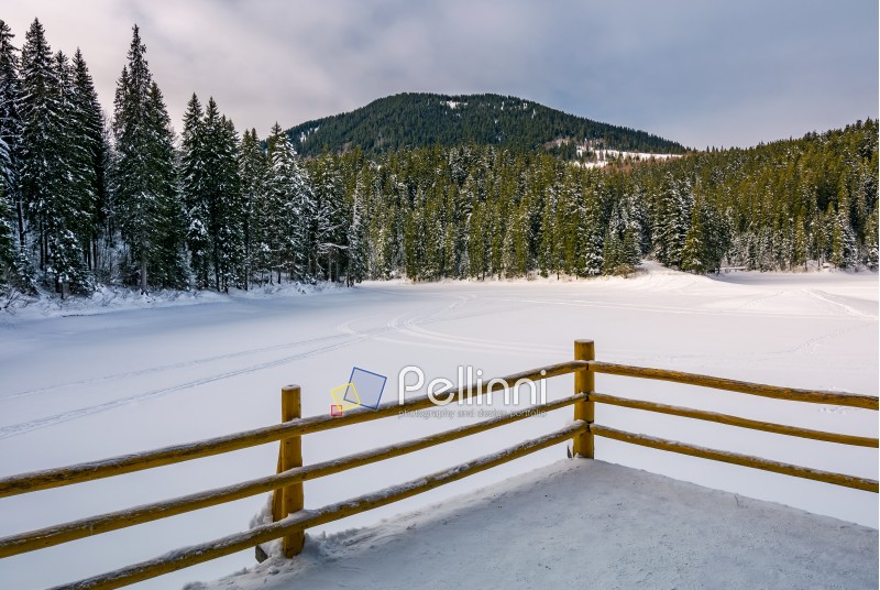 wooden pier on snow covered forest lake in mountains. gorgeous winter landscape in soft morning light