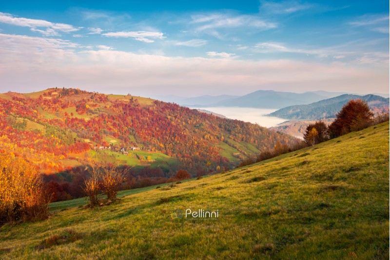 beautiful landscape in mountains. pleasant autumn weather at sunrise. forest in reddish foliage. fog in the distant valley. gorgeous sky above the distant ridge