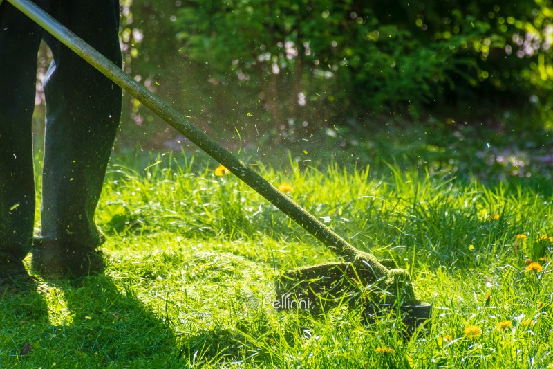 professional garden service at work. lawn care concept. cutting an mowing grass in the park. spring summer season. backlit gardening scene. grass ground view for design