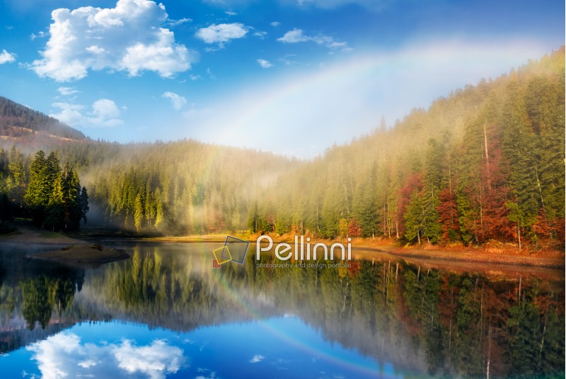 rainbow over the picturesque lake in foggy spruce forest. majestic autumn sunrise in gorgeous landscape with beautiful weather
