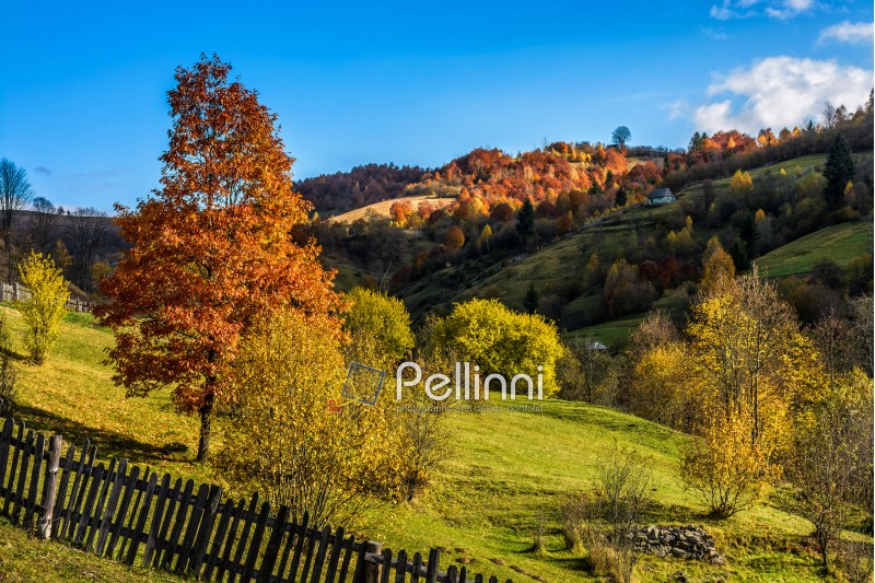 tree; fence; forest; landscape; meadow; red; nature; village; mountain; green; slope; hill; rural; countryside; foliage; outdoor; field; agriculture; bush; valley; scenery; dramatic; cloud; hillside; season; scenic; autumn; travel; tourism