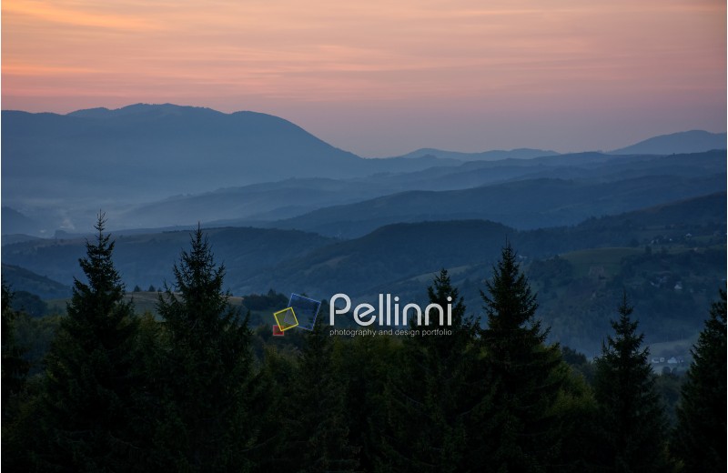 spectacular landscape with reddish sky at dawn in mountains and spruce tree top on foreground