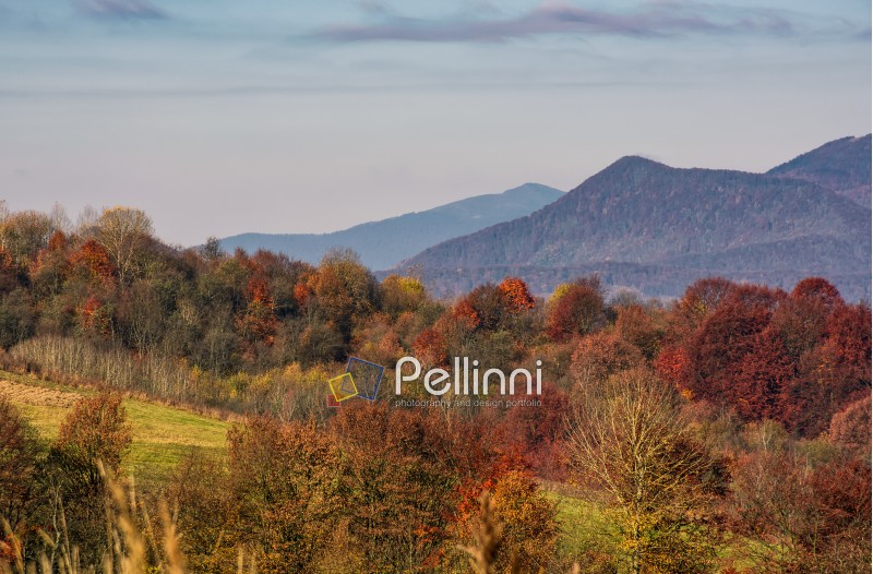 ridge with peaks above hillside with forest. lovely mountainous background in late autumn