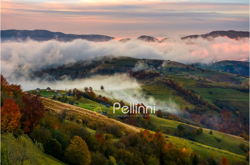 rising cloud covers rural fields in mountains. spectacular autumnal countryside scenery with mountain ridge in a distance at dawn