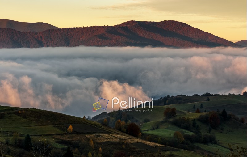 rising clouds in mountainous countryside before the dawn. gorgeous view of autumn fog in valley