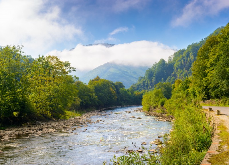 river runs through forest in mountain landscape. travel ukraine in summer. beautiful view with cloud on a hill under blue sky. scenery of tisza river valley