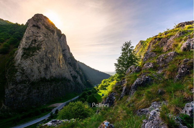 road in Canyon of Trascau mountains in the morning. lovely scenery of Carpathian landscape in springtime. beautiful travel destination. location Cheile Valisoarei, Romania