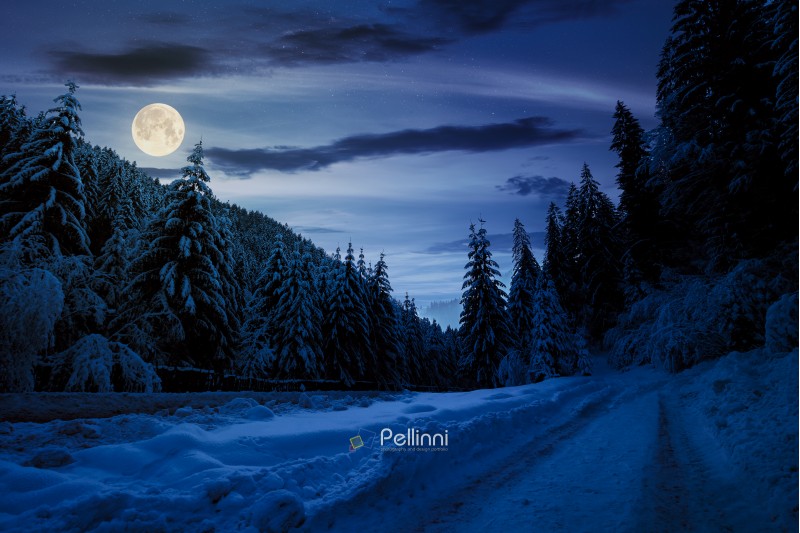 road in snow through winter forest at night in full moon light. beautiful scenery in mountains. spruce trees in snow