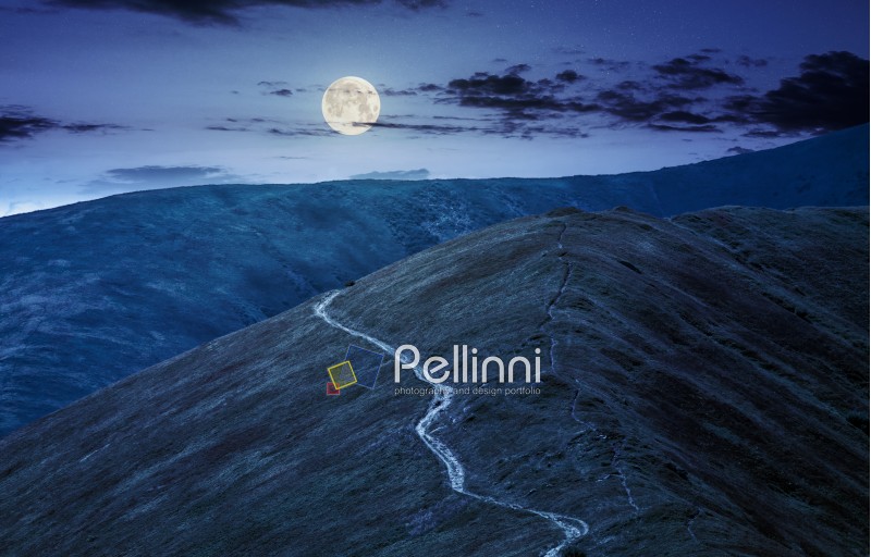 winding road through large meadows on the hillside of Polonina mountain range at night in full moon light