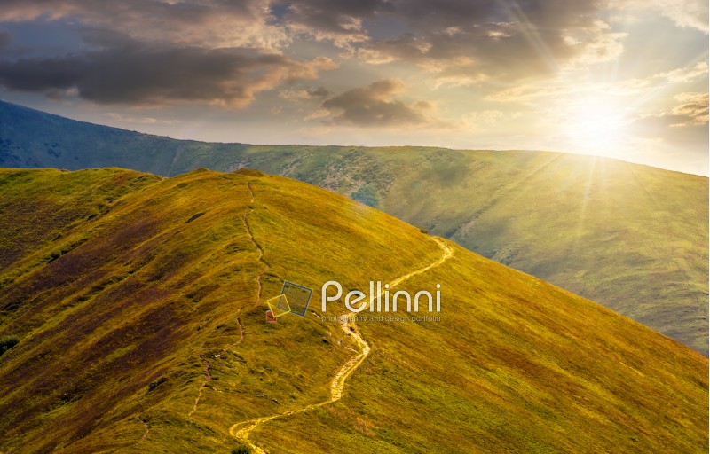 winding road through large meadows on the hillside of Polonina mountain range in evening light