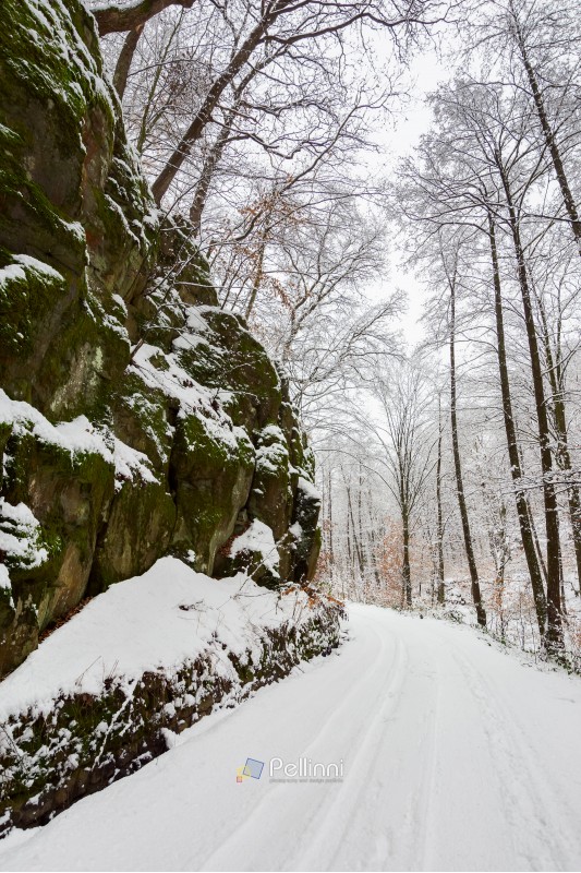 road through gorge and forest in winter. beautiful scenery with lots of snow