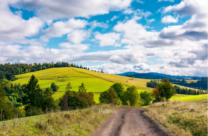 road through grassy meadow on a forested hill. lovely nature scenery under the cloudy sky