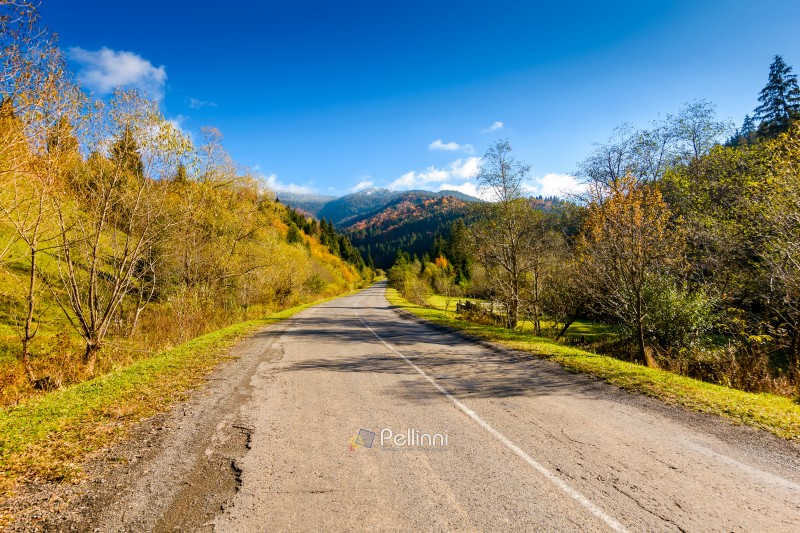 road through mountain landscape of ukraine in autumn. forest in fall colors under blue sky. snow covered peak of gorgany ridge in the distance. scenic view of transcarpathia valley on a sunny day
