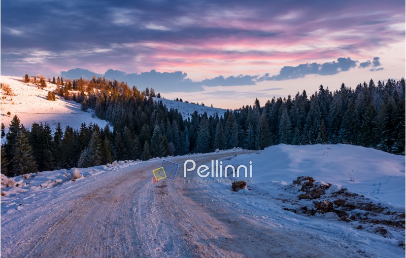 road through snowy hill side in to the spruce forest. gorgeous countryside landscape at winter dawn with magenta sky