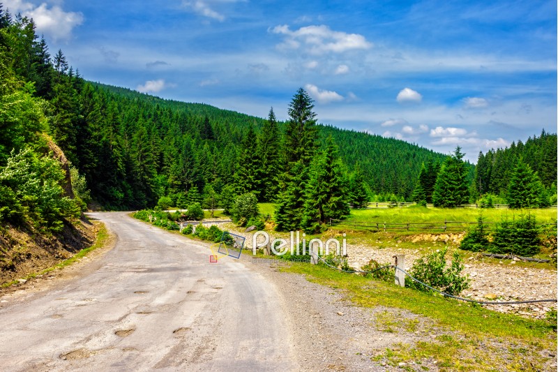 old cracked asphalt road going in mountains and passes through the green conifer forest