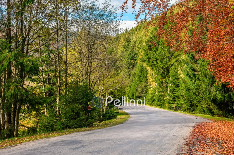 road; forest; mountain; autumn; nature; foliage; rural; landscape; tree; land; way; park; country; season; tranquil; wood; fall; beauty; plant; hillside; path; outdoor; day; spruce; environment; tree; freshness; countryside