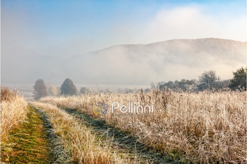 rural path through hillside meadow with frozen grass in Carpathian mountains in morning fog at sunrise