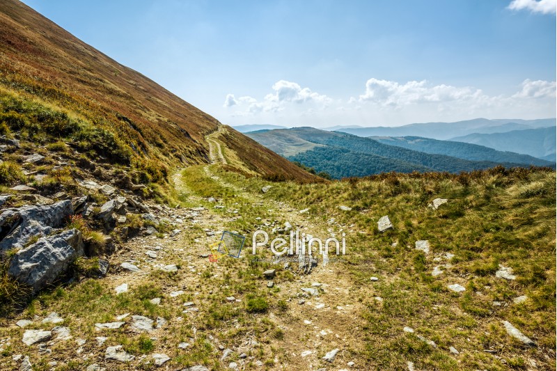 summer mountain landscape. road through the ridge to the top