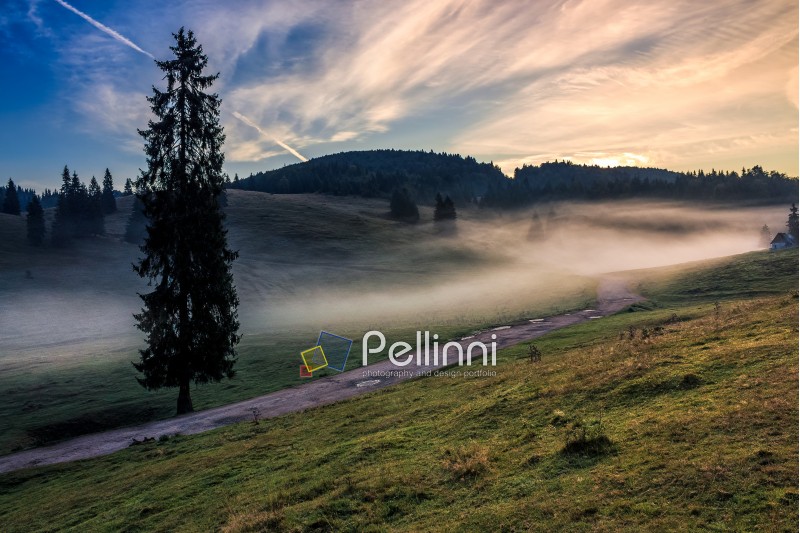 Rural landscape in mountains of Romania. Road through the hillside meadow in fog near the forest at sunrise
