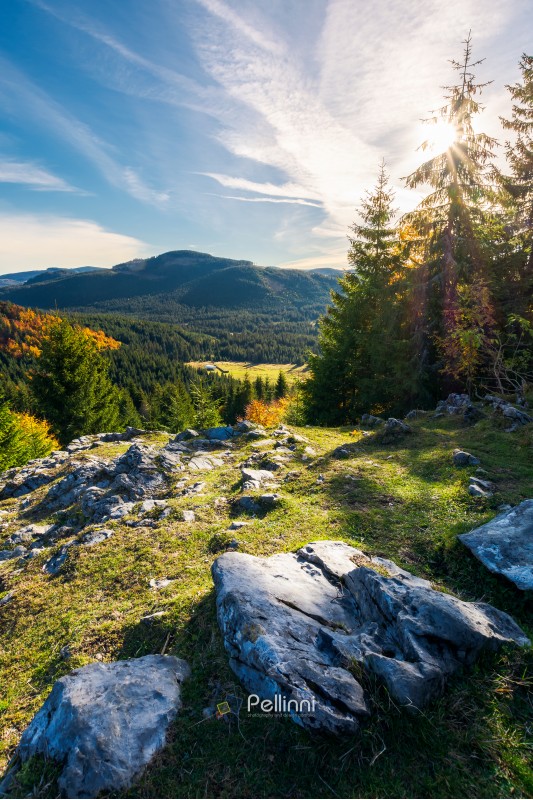 rocky cliff above the forested valley. beautiful autumn sunrise in mountainous landscape.