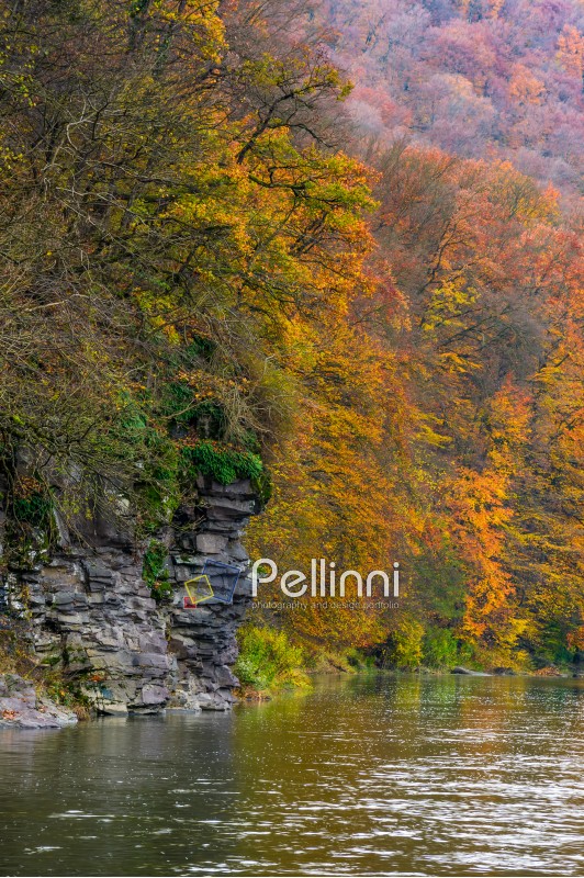 rocky cliff of mountain river background in autumn. colorful forest foliage reflects on a rippled water surface