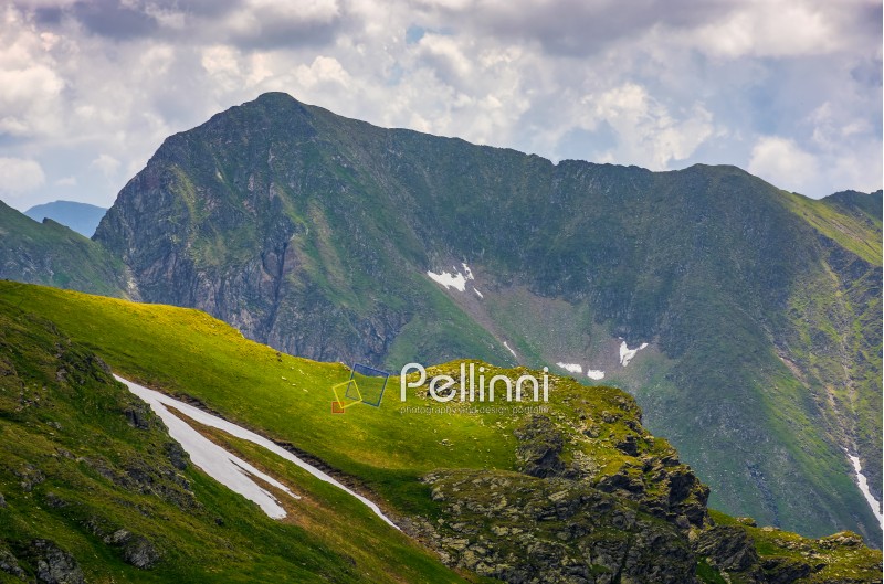 rocky edge on grassy hillside with snow. majestic carpathian summer landscape in romania mountains