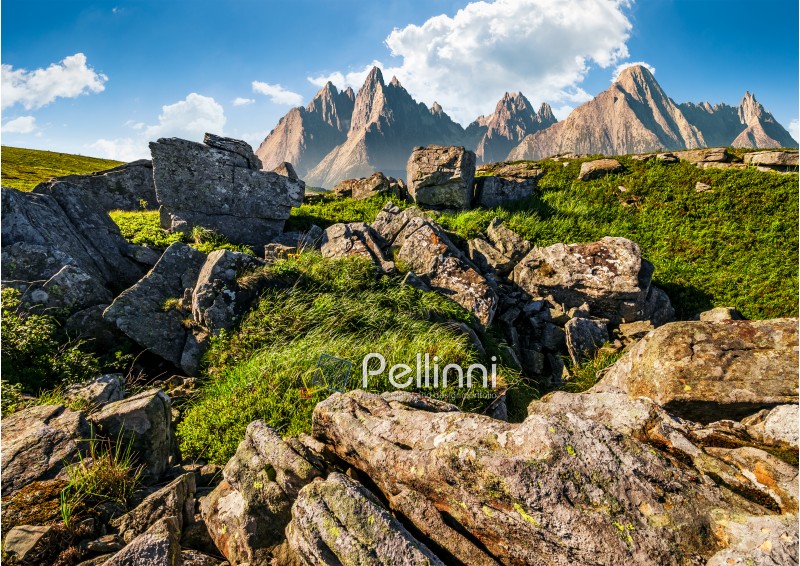 composite image of rocky peaks and rocks on hillside in High Tatras. Amazing mountain landscape in summer time