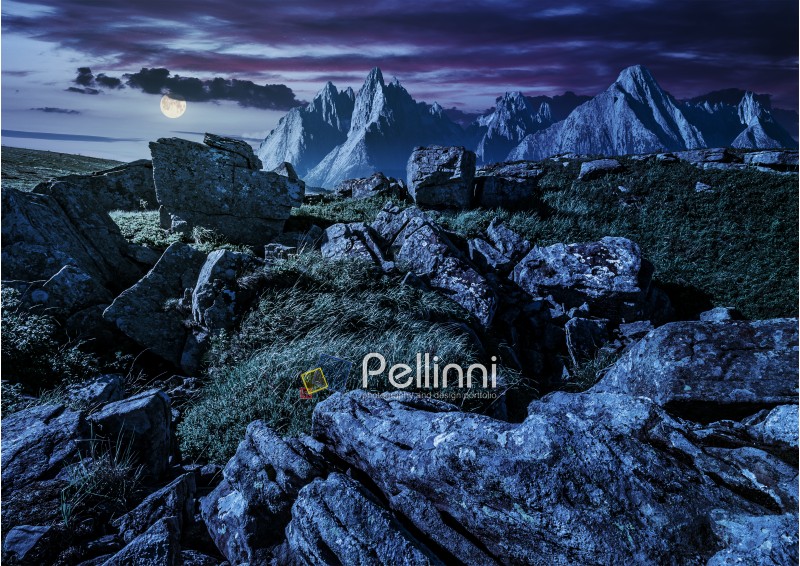 composite image of rocky peaks and rocks on hillside in High Tatra mountain ridge at night in full moon light. beautiful fantasy background